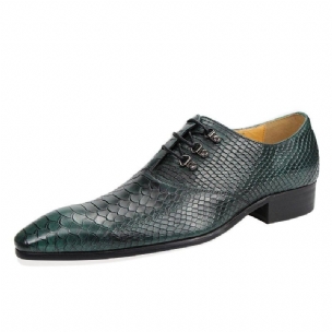 Formale Herrenschuhe Aus Leder Mit Spitzer Zehenpartie Und Oxford-schuhen