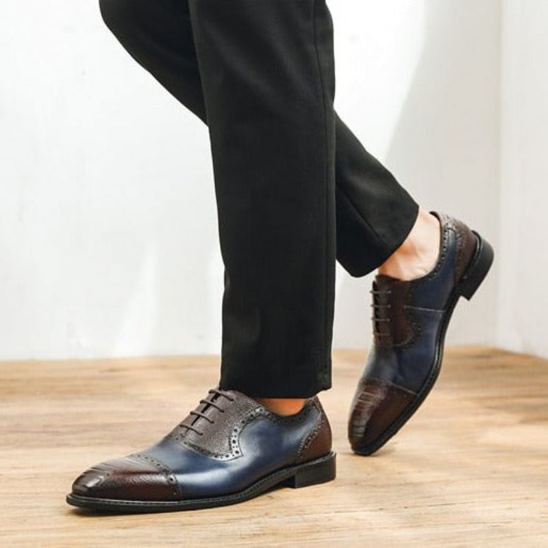 Formale Herrenschuhe Aus Leder Mit Spitzer Zehenpartie Und Oxford-schuhen - Blau