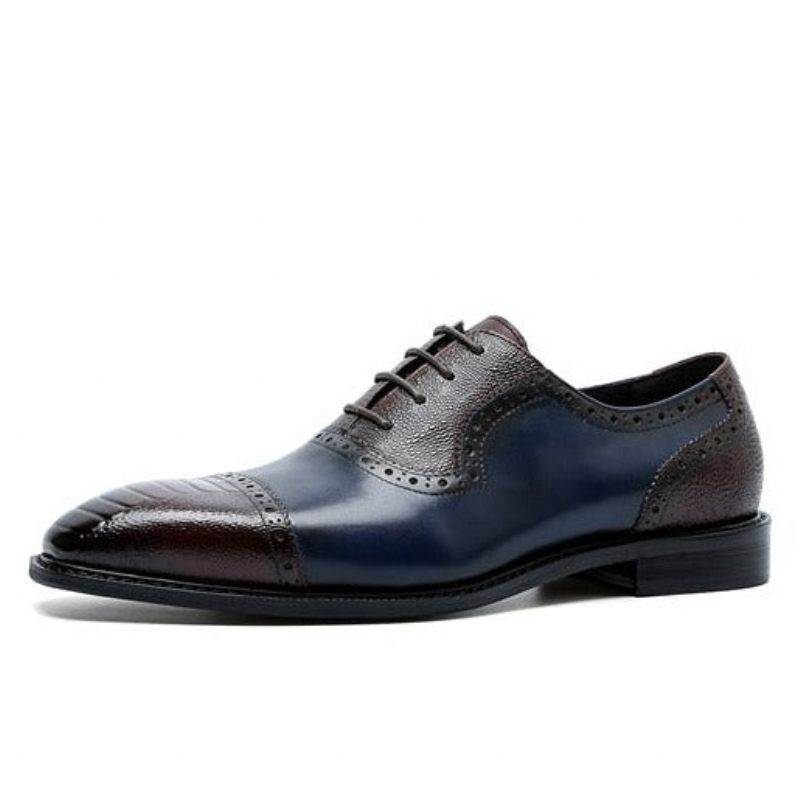 Formale Herrenschuhe Aus Leder Mit Spitzer Zehenpartie Und Oxford-schuhen - Blau