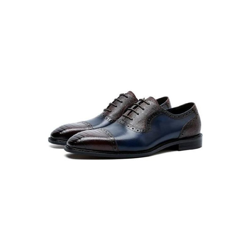 Formale Herrenschuhe Aus Leder Mit Spitzer Zehenpartie Und Oxford-schuhen - Blau