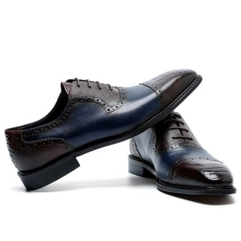 Formale Herrenschuhe Aus Leder Mit Spitzer Zehenpartie Und Oxford-schuhen - Blau