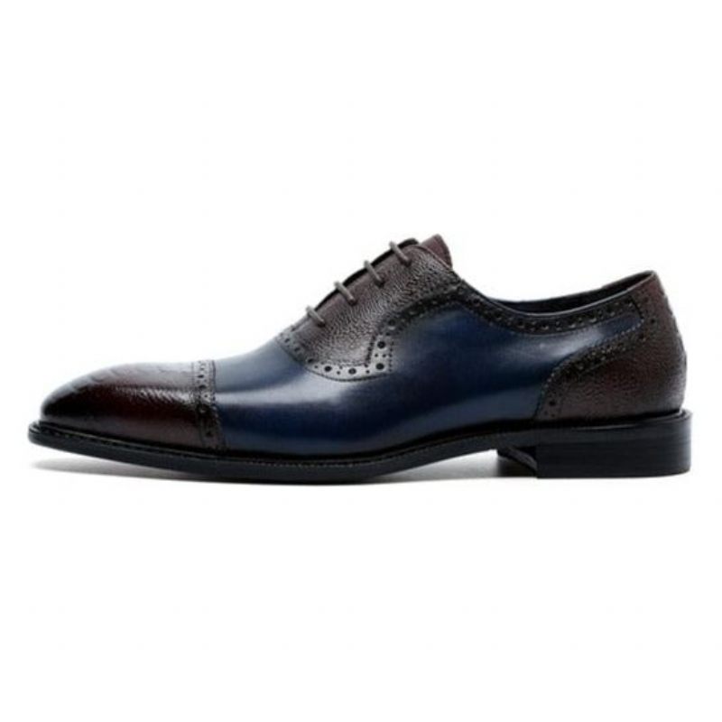 Formale Herrenschuhe Aus Leder Mit Spitzer Zehenpartie Und Oxford-schuhen - Blau