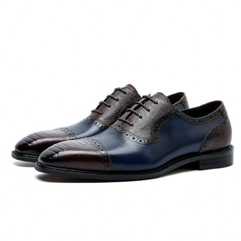 Formale Herrenschuhe Aus Leder Mit Spitzer Zehenpartie Und Oxford-schuhen - Blau