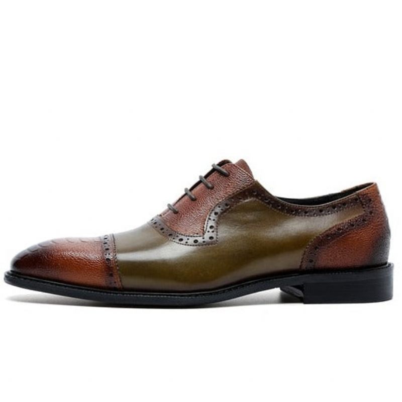 Formale Herrenschuhe Aus Leder Mit Spitzer Zehenpartie Und Oxford-schuhen - Braun