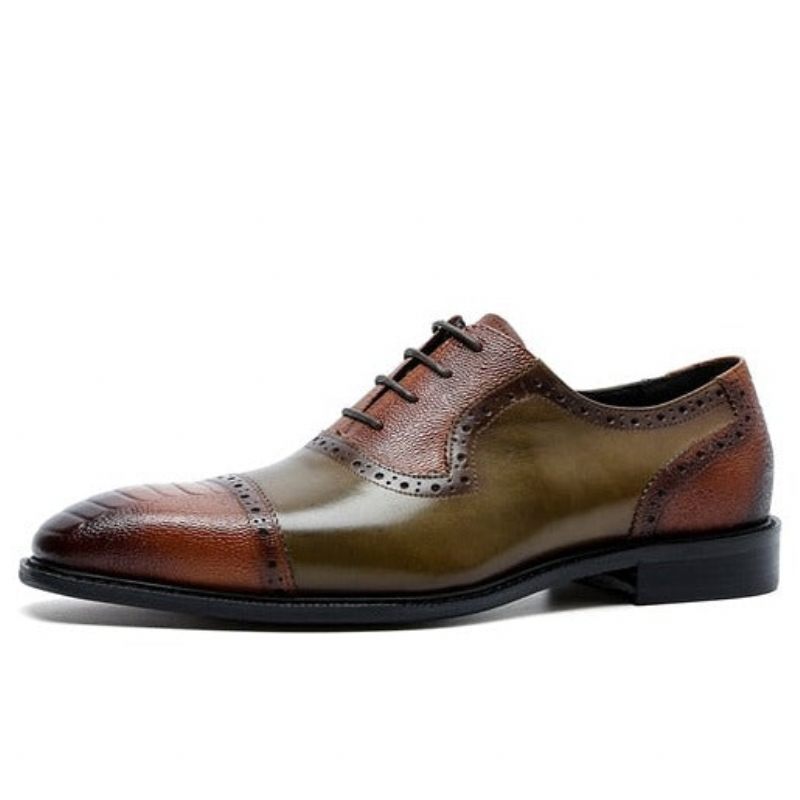 Formale Herrenschuhe Aus Leder Mit Spitzer Zehenpartie Und Oxford-schuhen - Braun