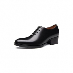 Formale Herrenschuhe Aus Raffiniertem Leder Mit Spitzer Zehenpartie Und Oxford-schuhen