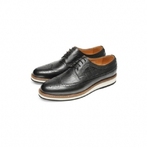 Formale Herrenschuhe Aus Rindsleder Designer-brogue-freizeitschuhe