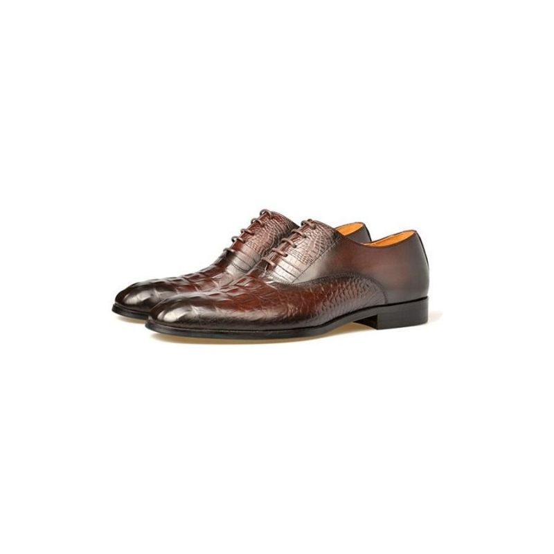 Formale Herrenschuhe Brogue-schuhe Aus Exotischem Geschnitztem Leder - Kaffee