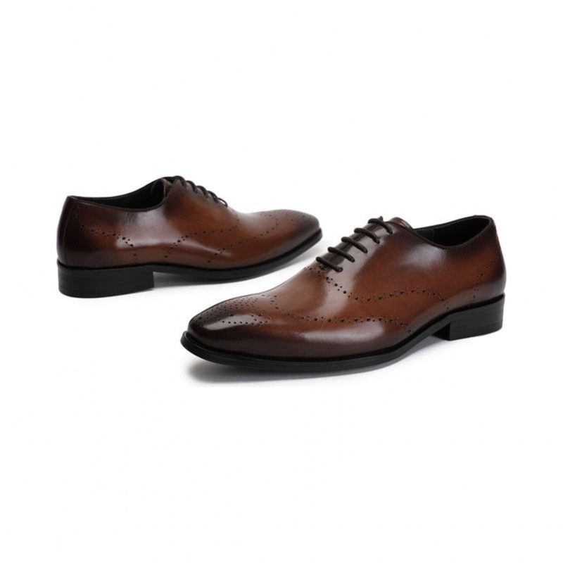 Formale Herrenschuhe Brogue-schuhe Aus Exotischem Rindsleder - Kaffee