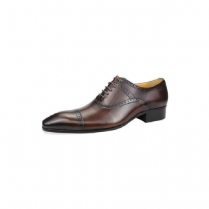 Formale Herrenschuhe Deluxe Oxford Lavishnuptial Brogues