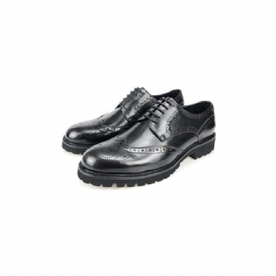 Formale Herrenschuhe Exotische Brogue-schuhe Aus Leder Mit Schnürung