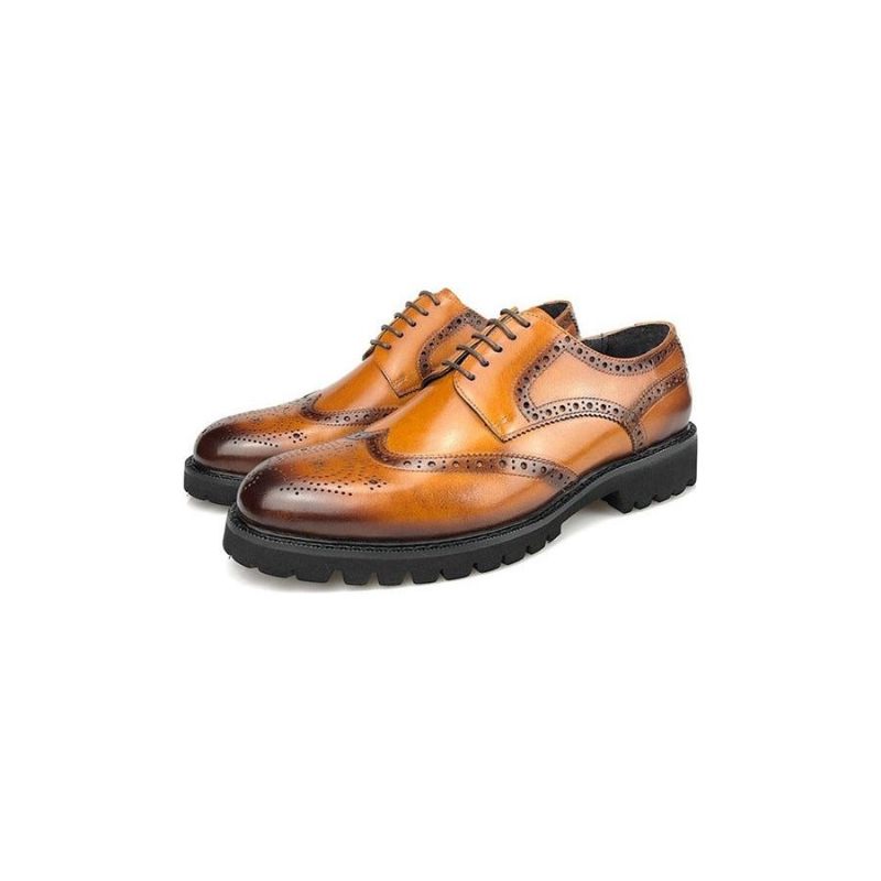 Formale Herrenschuhe Exotische Brogue-schuhe Aus Leder Mit Schnürung - Kaffee