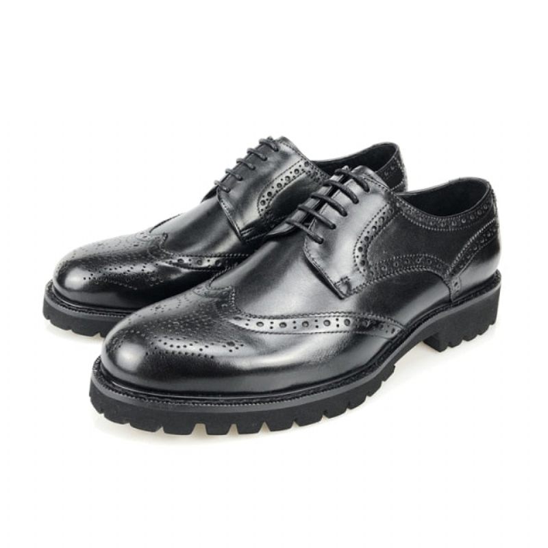 Formale Herrenschuhe Exotische Brogue-schuhe Aus Leder Mit Schnürung - Schwarz