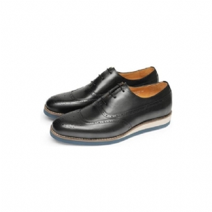 Formale Herrenschuhe Exotische Wingtip-plateauschuhe