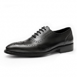 Formale Herrenschuhe Mit Exotischem Muster Und Brogue-kleiderschuhen Aus Spitze