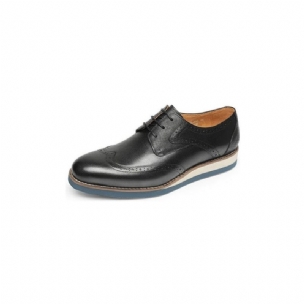 Formale Herrenschuhe Mit Exotischer Textur Und Wingtip-oxford-freizeitschuhen