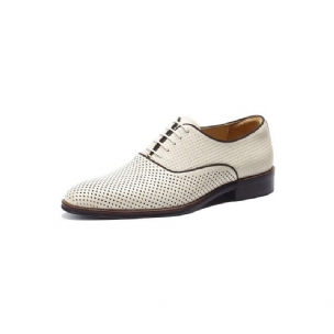 Formale Herrenschuhe Mit Geprägter Eleganz Und Exotischen Oxford-schuhen Runder Zehenpartie