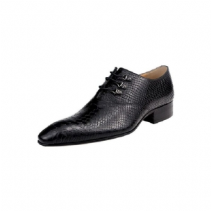 Formale Herrenschuhe Opulent Crocprint Oxford-schuhe Mit Spitzer Zehenpartie