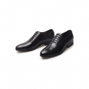 Formale Herrenschuhe Oxford-schuhe Mit Spitzer Zehenpartie