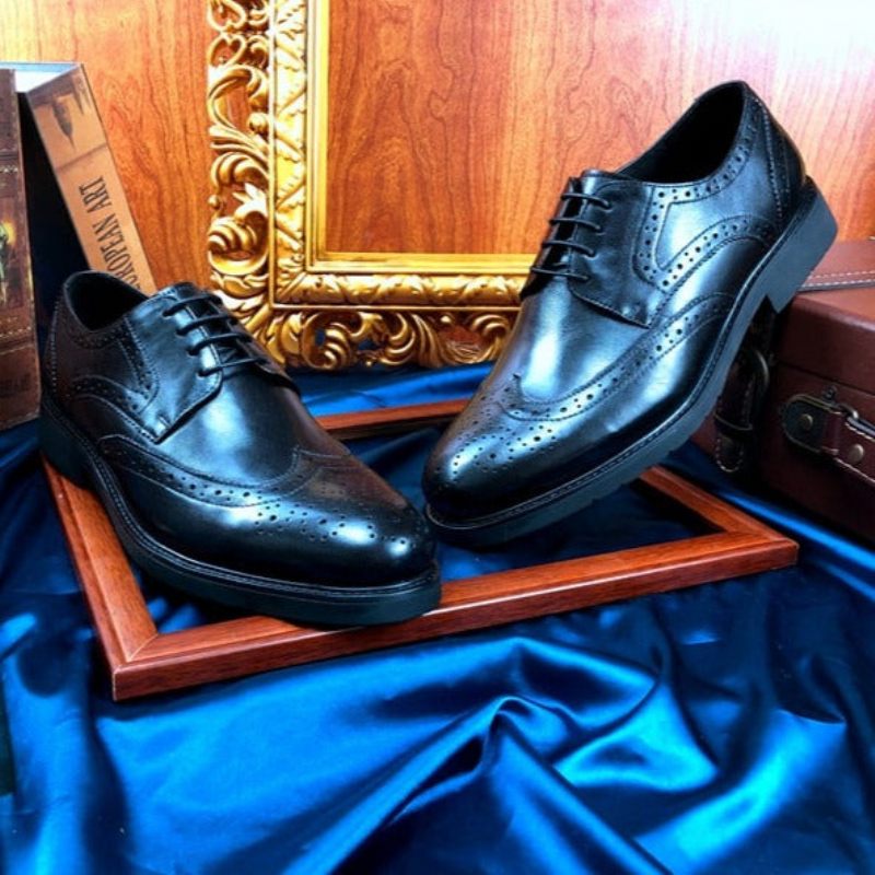 Formale Herrenschuhe Wingtip Luxuriöse Exotische Oxford-brogues Mit Spitzer Zehenpartie - Schwarz