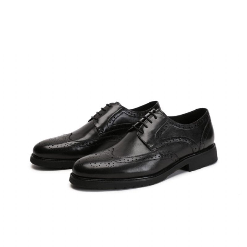 Formale Herrenschuhe Wingtip Luxuriöse Exotische Oxford-brogues Mit Spitzer Zehenpartie - Schwarz