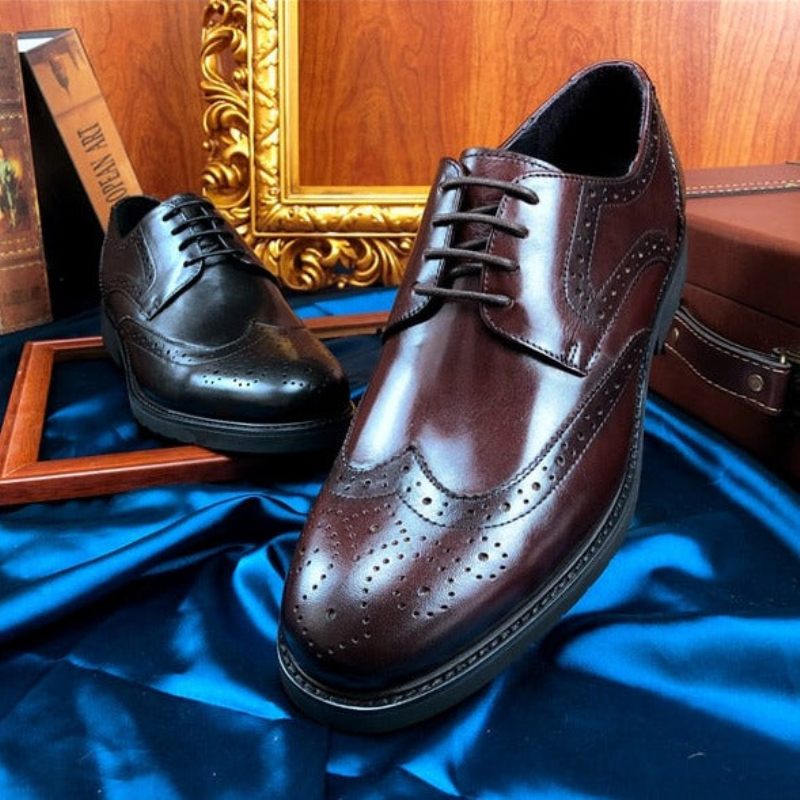 Formale Herrenschuhe Wingtip Luxuriöse Exotische Oxford-brogues Mit Spitzer Zehenpartie - Schwarz