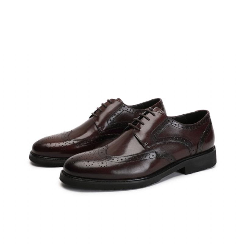 Formale Herrenschuhe Wingtip Luxuriöse Exotische Oxford-brogues Mit Spitzer Zehenpartie - Kaffee