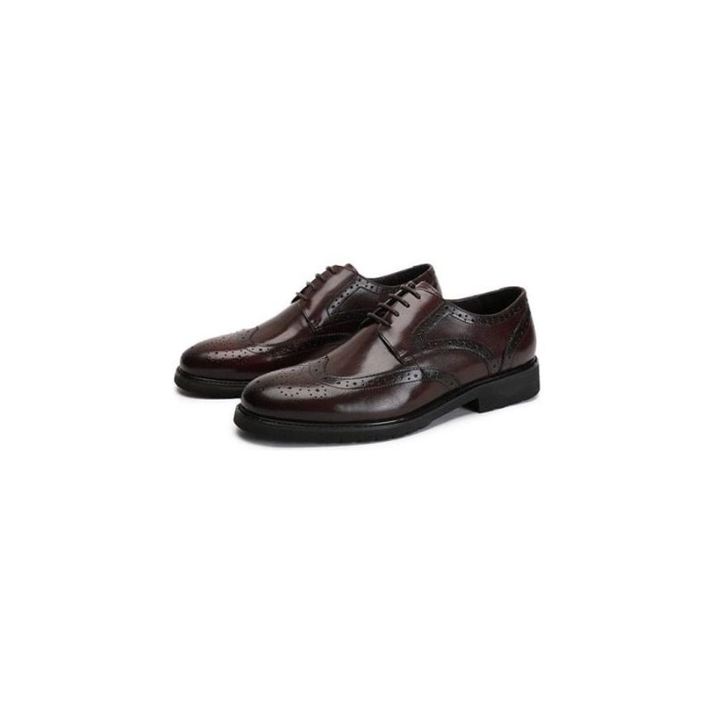 Formale Herrenschuhe Wingtip Luxuriöse Exotische Oxford-brogues Mit Spitzer Zehenpartie - Kaffee