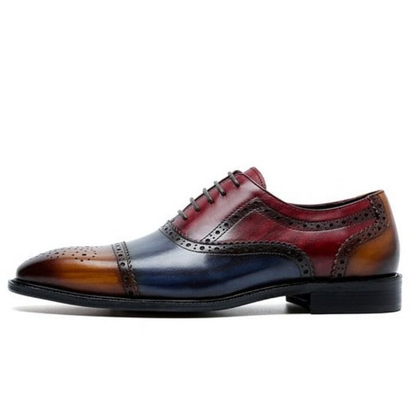 Formale Herrenschuhe Wingtip-schnür-oxfords Aus Leder - Exotisch