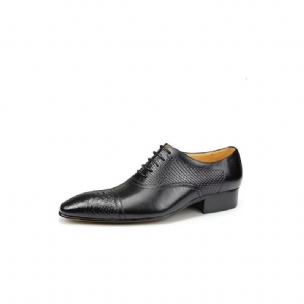 Formelle Herrenschuhe Elegante Maßgeschneiderte Brogue-schnürschuhe Aus Leder Für Die Hochzeit