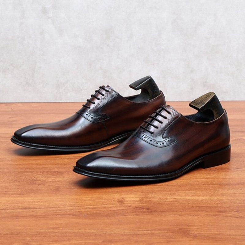 Formelle Herrenschuhe Elegante Oxford-schnürschuhe Aus Leder - Kaffee