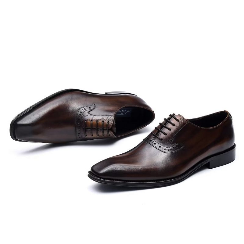 Formelle Herrenschuhe Elegante Oxford-schnürschuhe Aus Leder - Kaffee