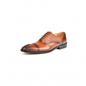 Formelle Herrenschuhe Elegante Oxford-schuhe Mit Krokodilstruktur