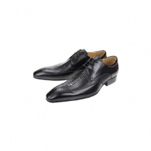 Formelle Herrenschuhe Elegantes Krokodilleder Luxuriöse Brogue-oxford-schuhe