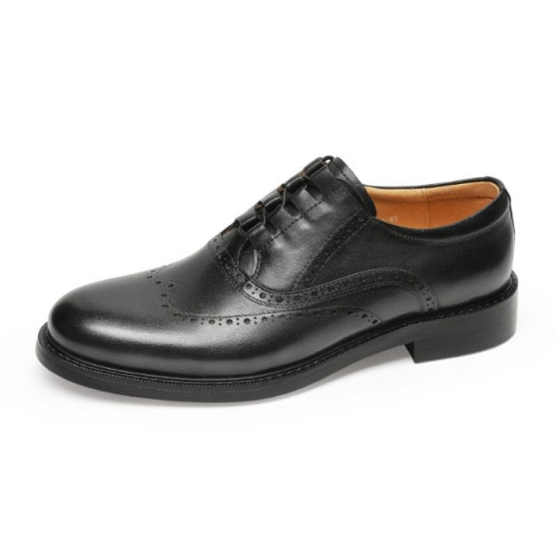 Formelle Herrenschuhe Exotische Oxford-schuhe - Schwarz