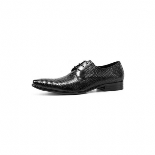 Formelle Herrenschuhe Exotische Retro-schnürschuhe Mit Wingtip-oxford-schuhen