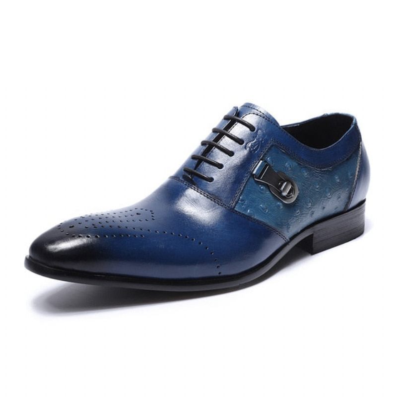 Formelle Herrenschuhe Exotische Schnür-oxford-brogue-freizeitschuhe - Blau