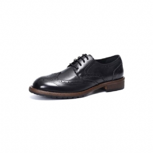 Formelle Herrenschuhe Exquisite Brogues