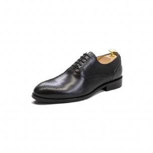 Formelle Herrenschuhe Exquisite Leder-wingtip-kleiderschuhe