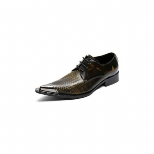 Formelle Herrenschuhe Exquisite Oxfords Aus Krokodilleder Mit Spitzer Zehenpartie