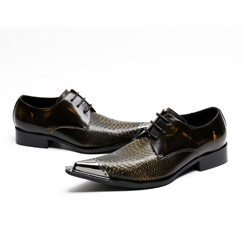 Formelle Herrenschuhe Exquisite Oxfords Aus Krokodilleder Mit Spitzer Zehenpartie - Kaffee