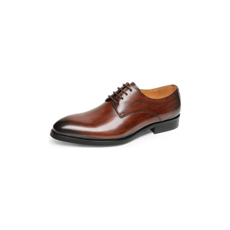 Formelle Herrenschuhe Für Hochzeiten Luxuriöse Spitze Oxfords Aus Exotischem Leder - Kaffee