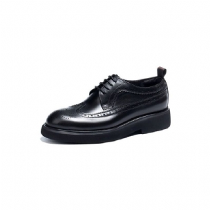 Formelle Herrenschuhe Klassische Oxford-schuhe