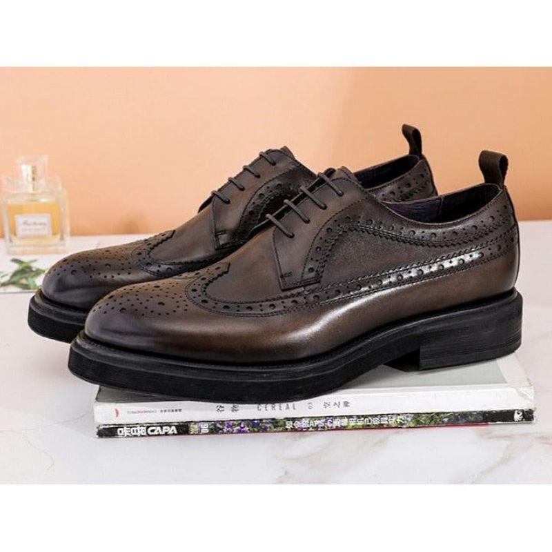 Formelle Herrenschuhe Klassische Oxford-schuhe - Kaffee