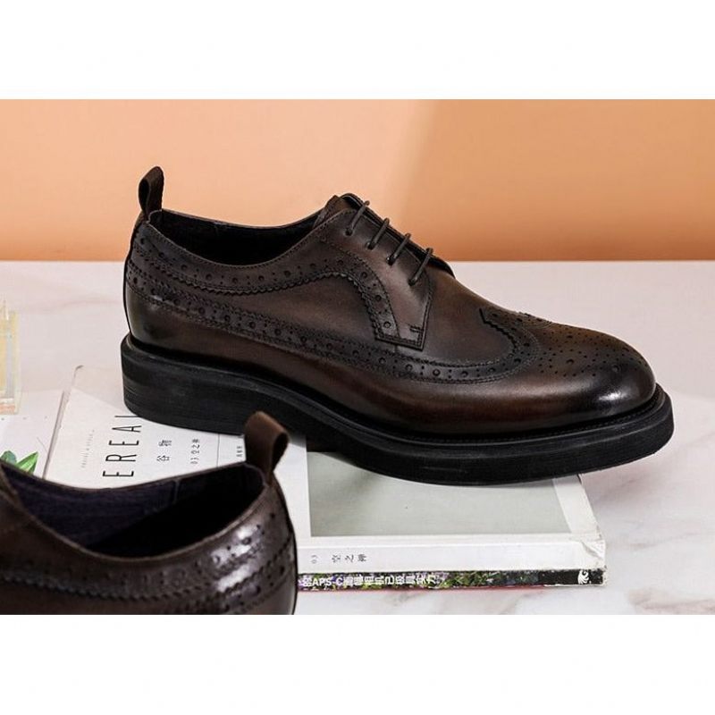 Formelle Herrenschuhe Klassische Oxford-schuhe - Kaffee