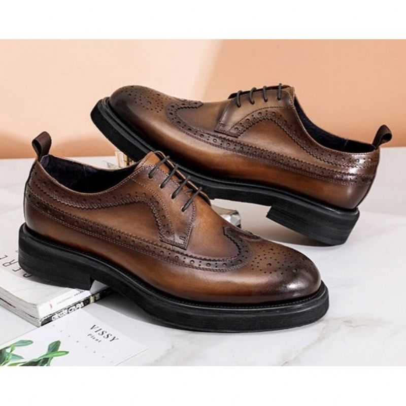 Formelle Herrenschuhe Klassische Oxford-schuhe - Braun