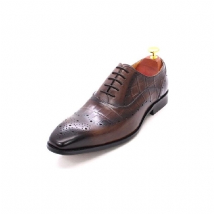 Formelle Herrenschuhe Luxuriöse Brogue-oxford-kleiderschuhe Aus Krokodilleder