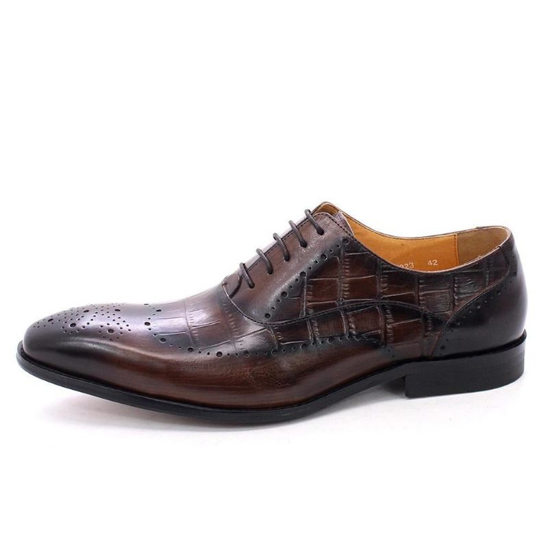 Formelle Herrenschuhe Luxuriöse Brogue-oxford-kleiderschuhe Aus Krokodilleder - Kaffee