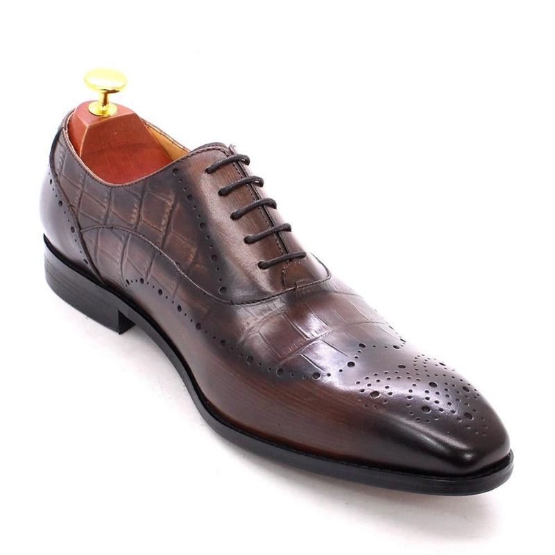 Formelle Herrenschuhe Luxuriöse Brogue-oxford-kleiderschuhe Aus Krokodilleder - Kaffee