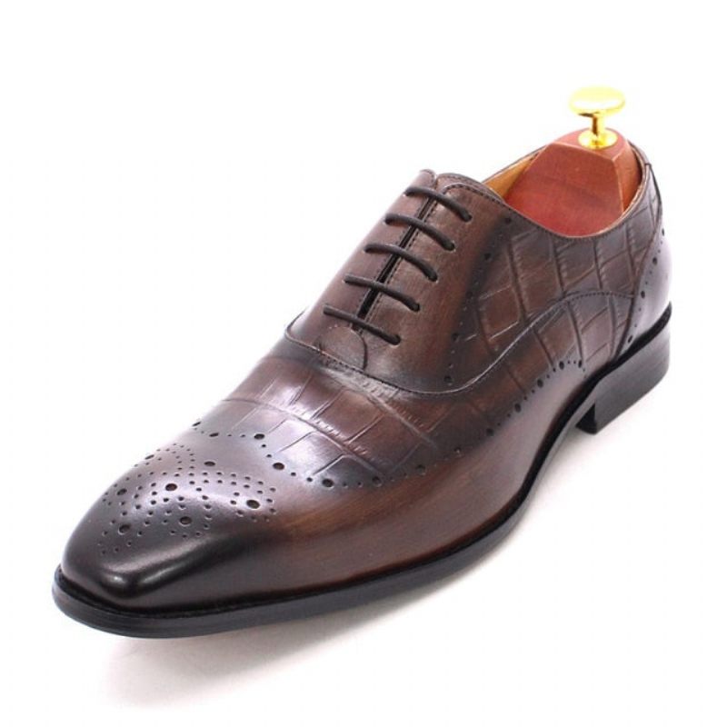 Formelle Herrenschuhe Luxuriöse Brogue-oxford-kleiderschuhe Aus Krokodilleder - Kaffee